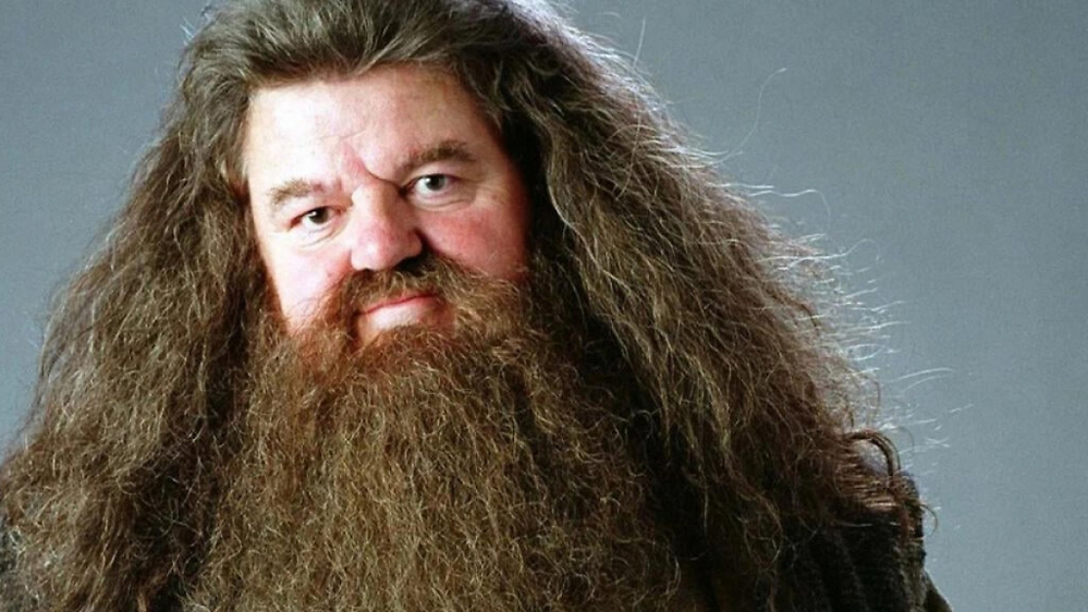 Harry Potter-Serie: Erstes offizielles Bild zeigt Nick Frost als Hagrid