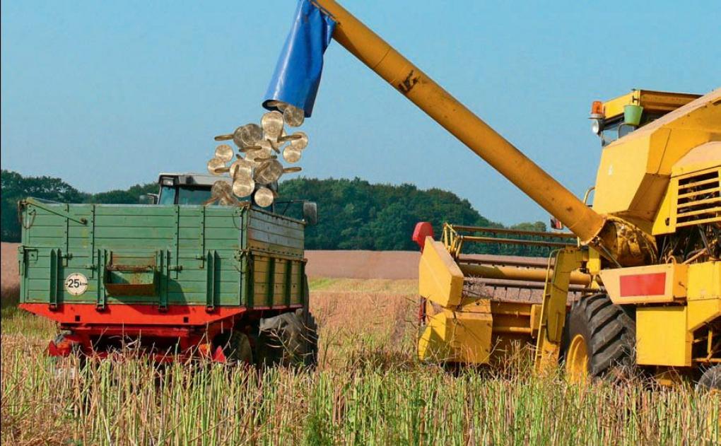 Für das junge Entwicklerstudio war der Landwirtschafts-Simulator 2008 der Schlüssel zum Erfolg. Ein Nachfolger ist bereits in Arbeit.