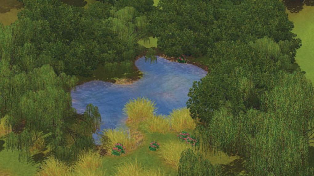 Guppy Gills Pond