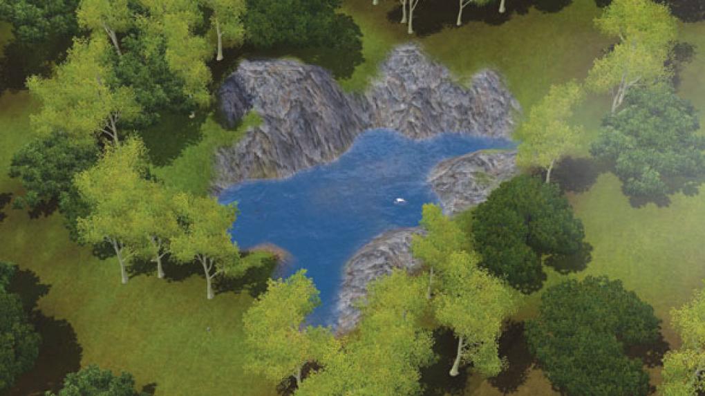 Hollowlog Springs