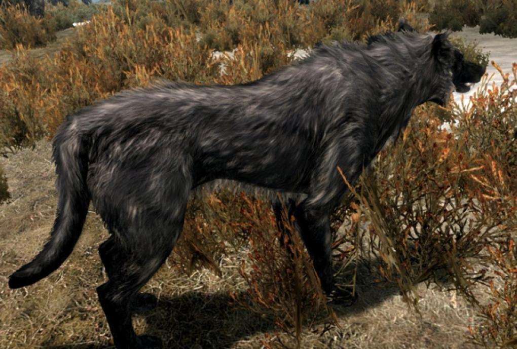 Das Fell der Tiere in Skyrim wirkt dank dieser Mod deutlich flauschiger.