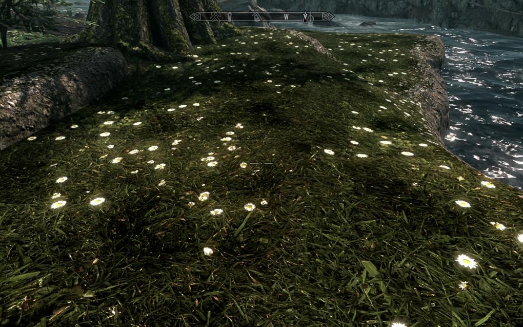 Das Landscape Texture Pack für Skyrim sorgt für deutlich bessere Böden.