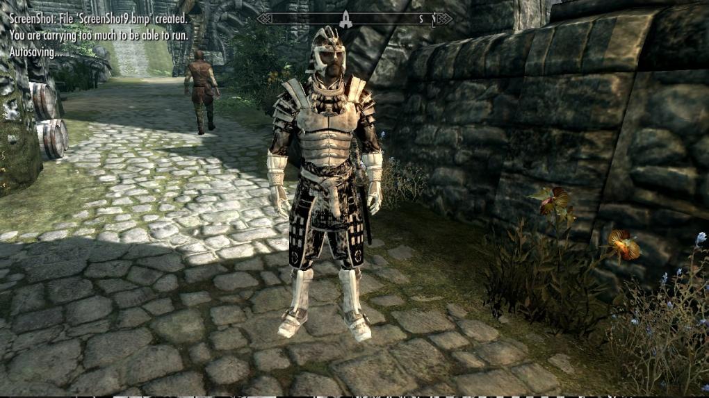 Skyrim-Mod: Black And White Blade Armour.