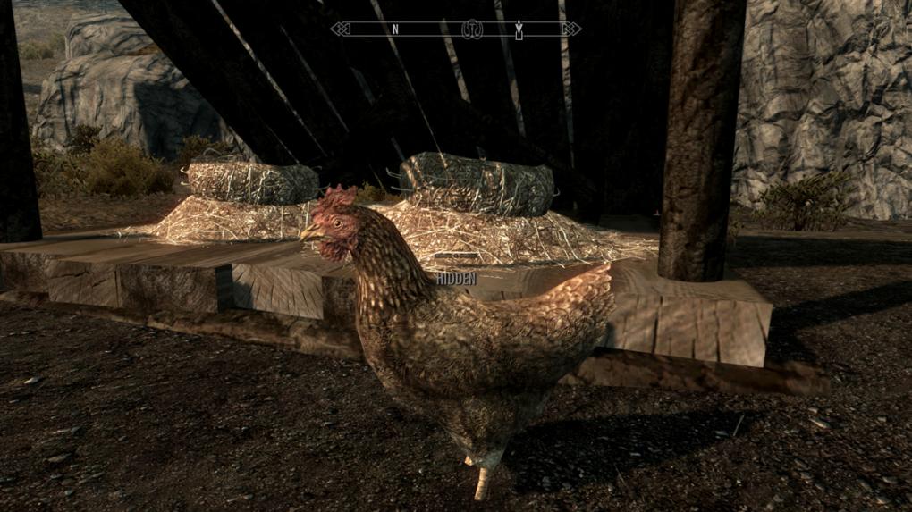 Skyrim-Mod: High Res Chicken Texture.