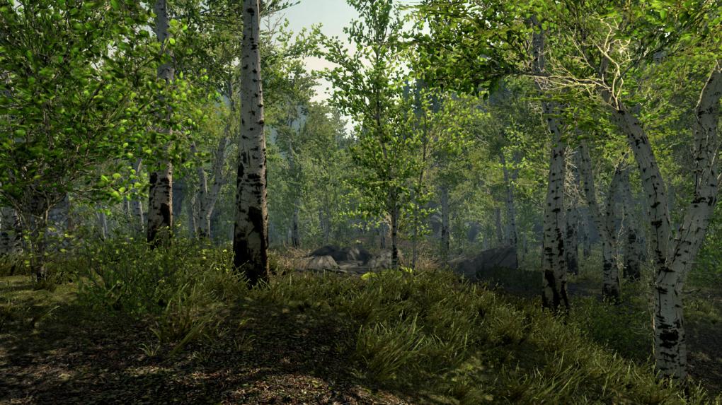 Skyrim-Mod: Summer in Skyrim.
