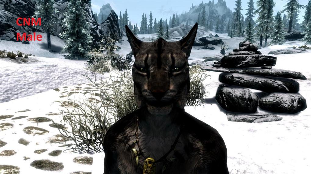 Mit den verbesserten Texturen sehen die Khajiit gleich besser aus.