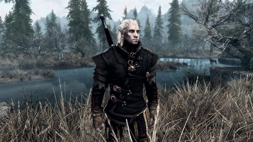 Skyrim-Mod: The Witcher 2 - Geralt Light Armor and Witchers Swords 