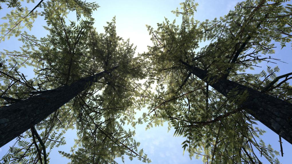 Der Modder will sich um die Löcher kümmern, die andere Skyrim-Retex-Mods hinterlassen.