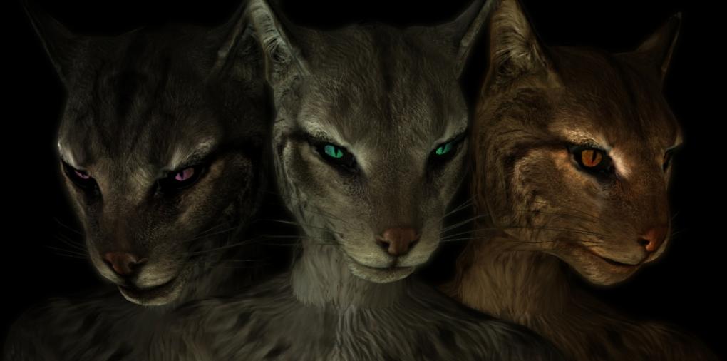 Mit dieser Mod sehen eure Khajiits in Skyrim gleich deutlich besser aus.