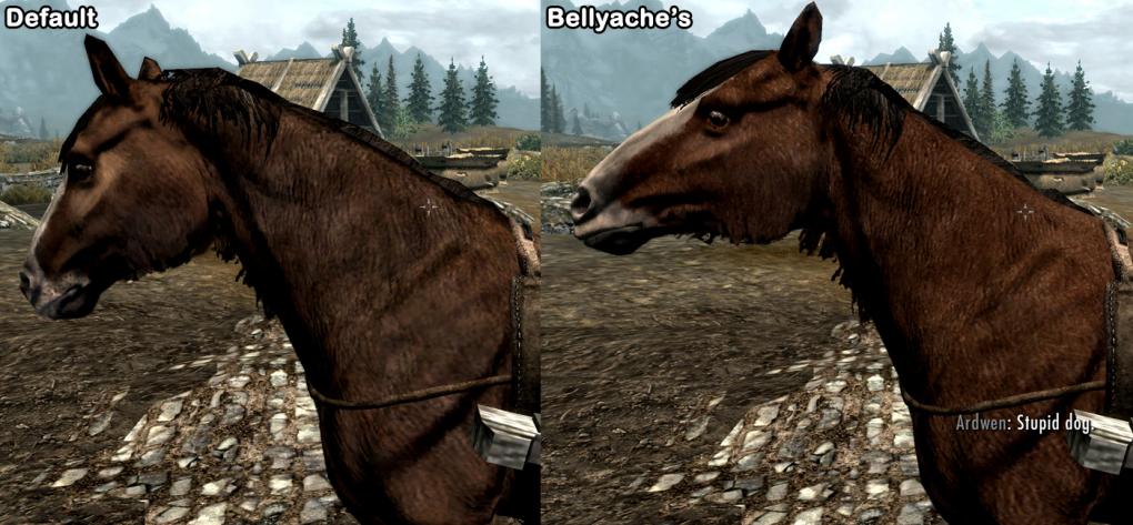 Mit dieser Mod wird dafür gesorgt, dass die Tiere und Kreaturen in Skyrim besser aussehen.