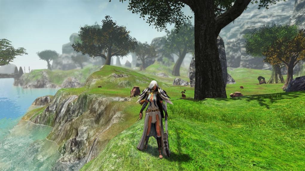 Dragon's Prophet: Der Zauberer