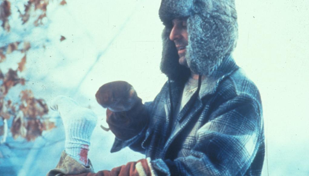 'Fargo' (1996)