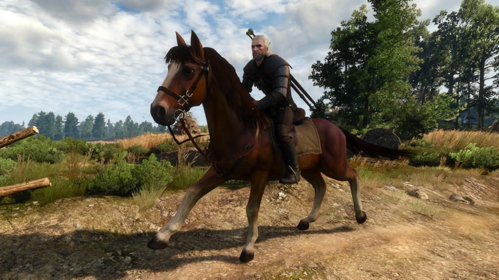 The Witcher 3 kombiniert eine riesige offene Welt mit einem spannenden Plot, knackigen Entscheidungen und gut geschriebenen Quests.