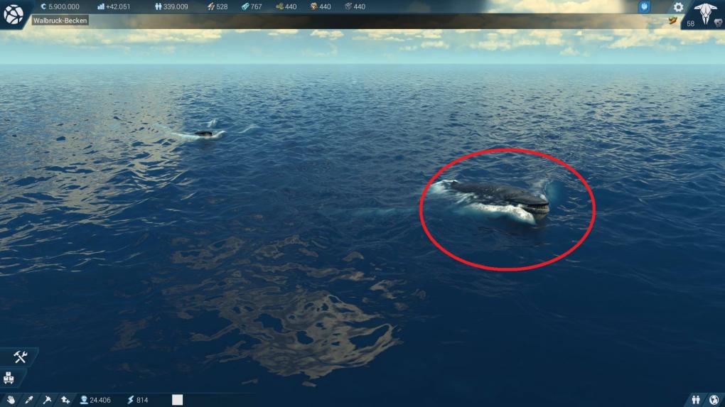 Don't kill the whale!