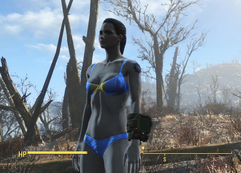 Mit einem Texturen-Paket erhalten weibliche Charaktere Vault-Tec-Unterwäsche und -Tattoos