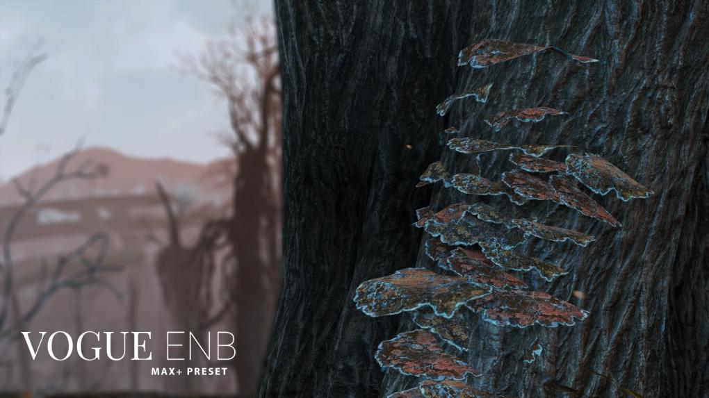 Die Vogue ENB-Mod sorgt für eine realistischere Optik in Fallout 4.