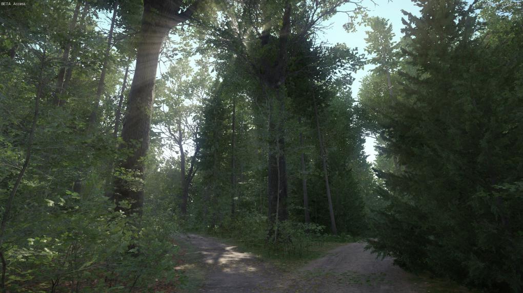 Kingdom Come: Deliverance, Beta - Grandios, für welch überzeugend natürlich wirkende Stimmung das Beleuchtungssystem und die Vegetation im Spiel sorgen.
