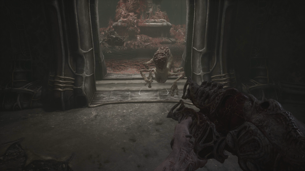 Die Scorn Alpha Demo zeigt schon einen guten Eindruck davon, wie das endgültige Spiel aussehen könnte. Ziemlich gruselig! (9)