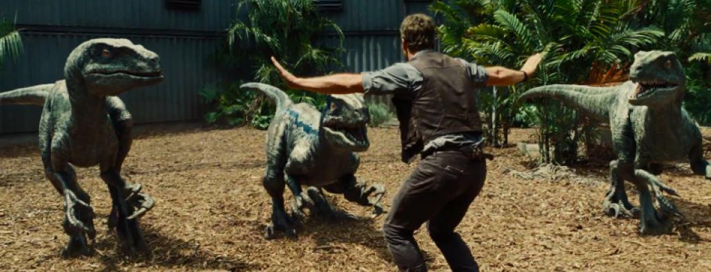 Chris Pratt als Raptoren-Trainer in "Jurassic World"
