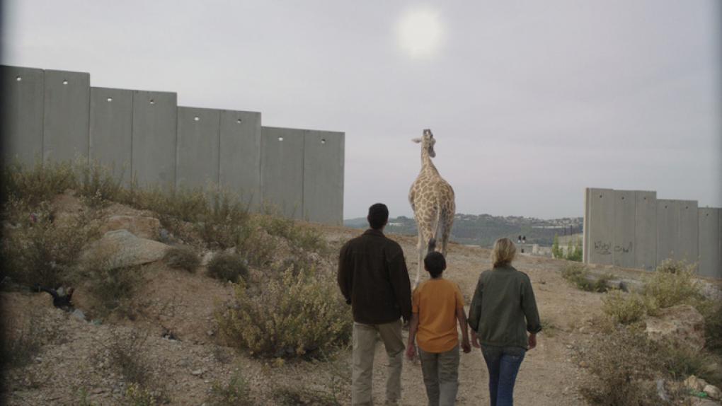 Filmszene aus "Giraffada"