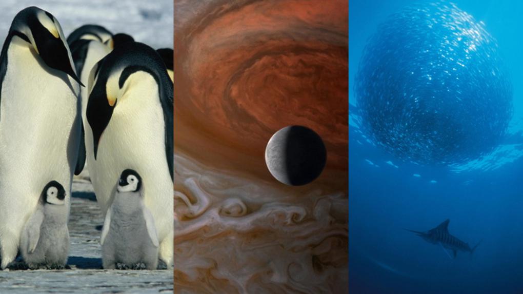 Die Reise der Pinguine / Voyage of Time / Deep Blue