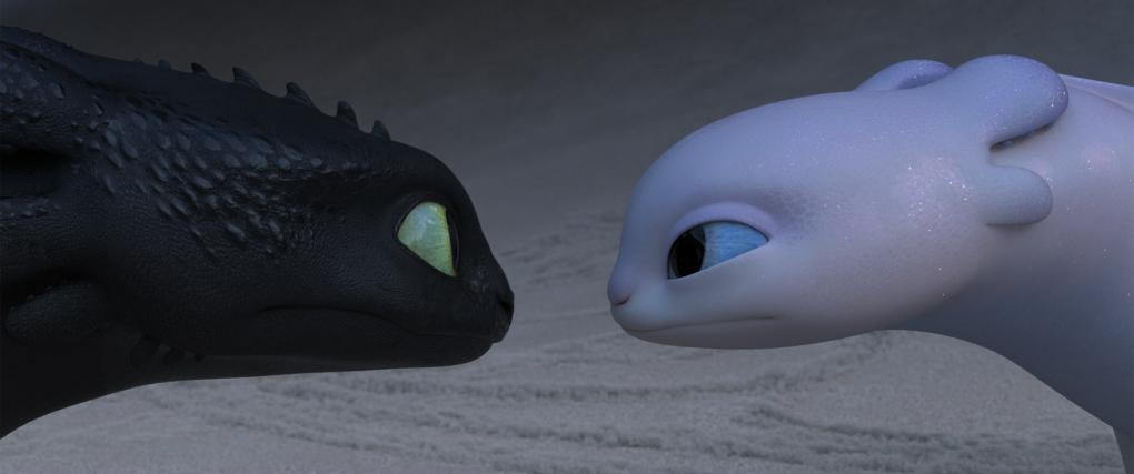 Szenenbild aus "Drachenzähmen leicht gemacht 3: Die geheime Welt" (2019) - Ein gleichgesinnter Drache für Ohnezahn