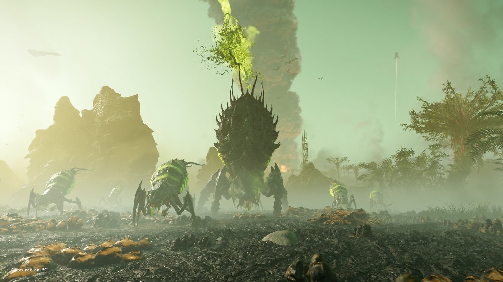 Eine Horde Bugs hat einen Helldiver erspäht.