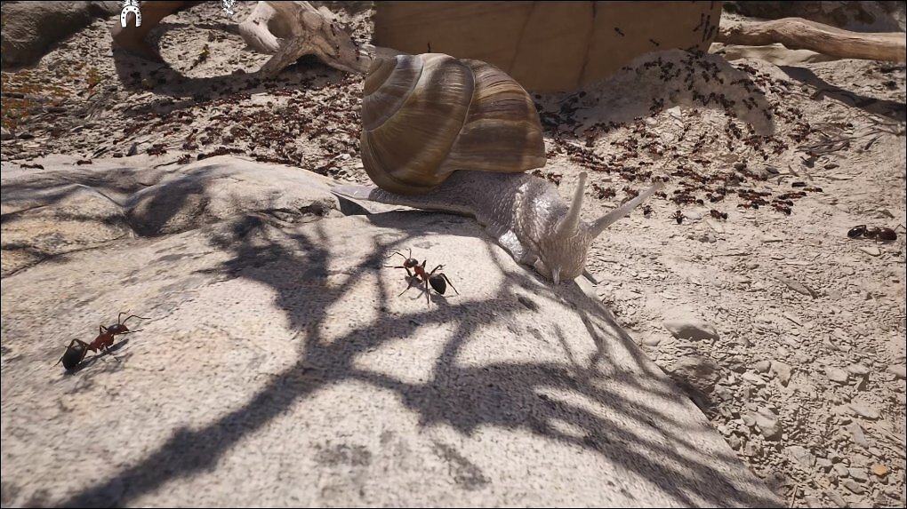 Eine gewaltige Schnecke wandert an einer Ameisenkolonie entlang.