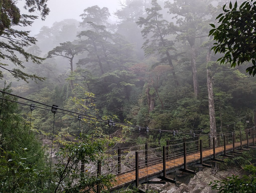 Mit dem Bus hierherkommen? Eine Qual. Spätestens in entlegenen Gegenden wie Yakusugiland auf Yakushima ist ein Mietwagen ein Muss. Und somit auch eine Führerschein-Übersetzung.