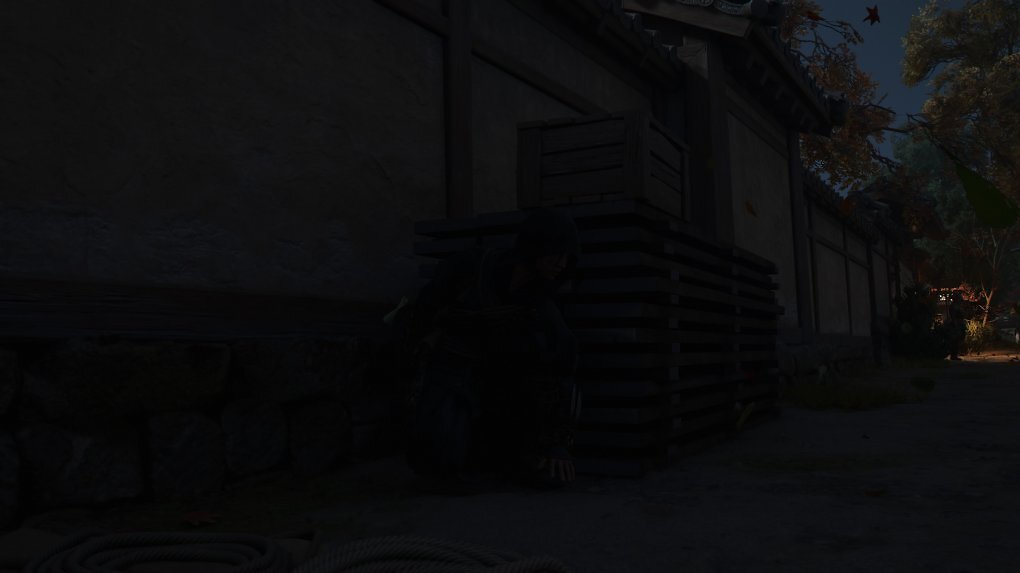 Assassin's Creed Shadows ungesehen im Schatten