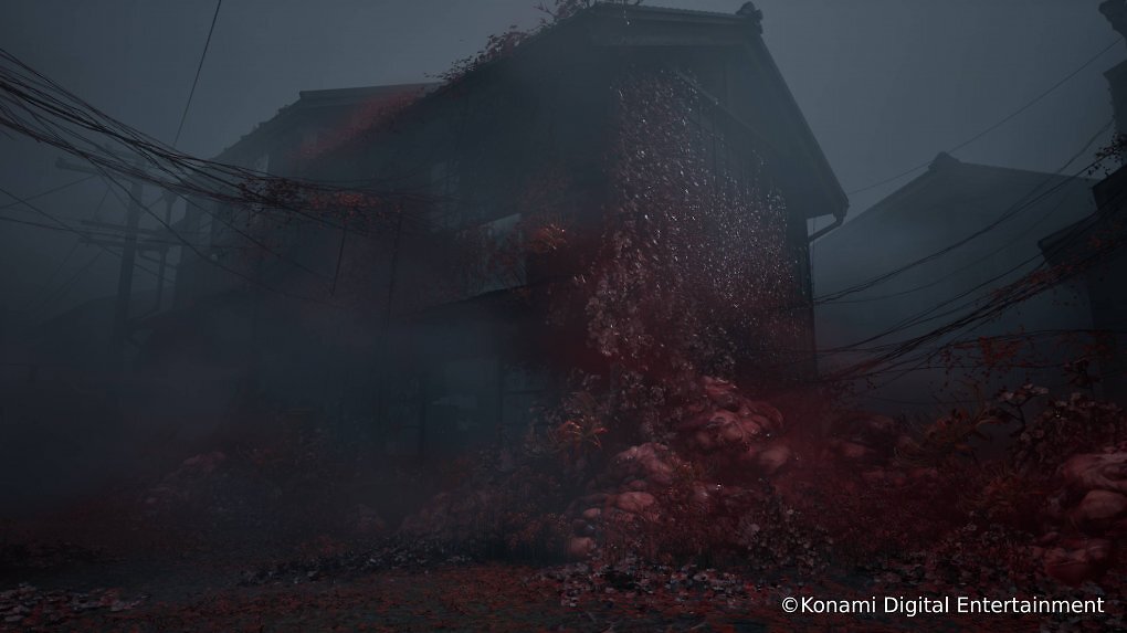 Rote Blumen an einem Haus.