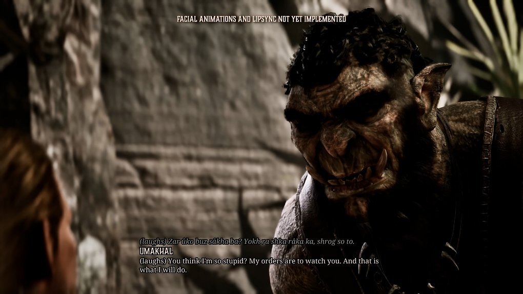 Der Held im Dialog mit einem Ork. Die Sprache muss erst gelernt werden.