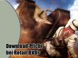 Download-Pflicht bei Retail-DVDs