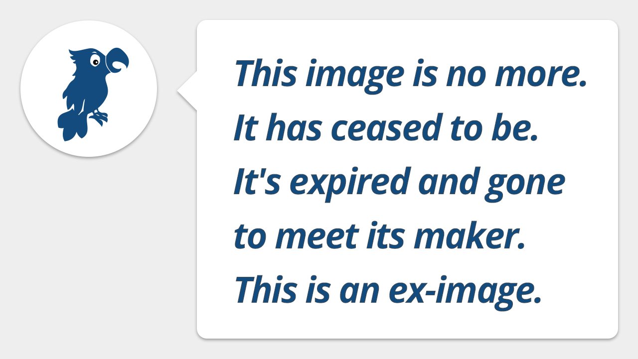 Weitere Galerien zum Artikel