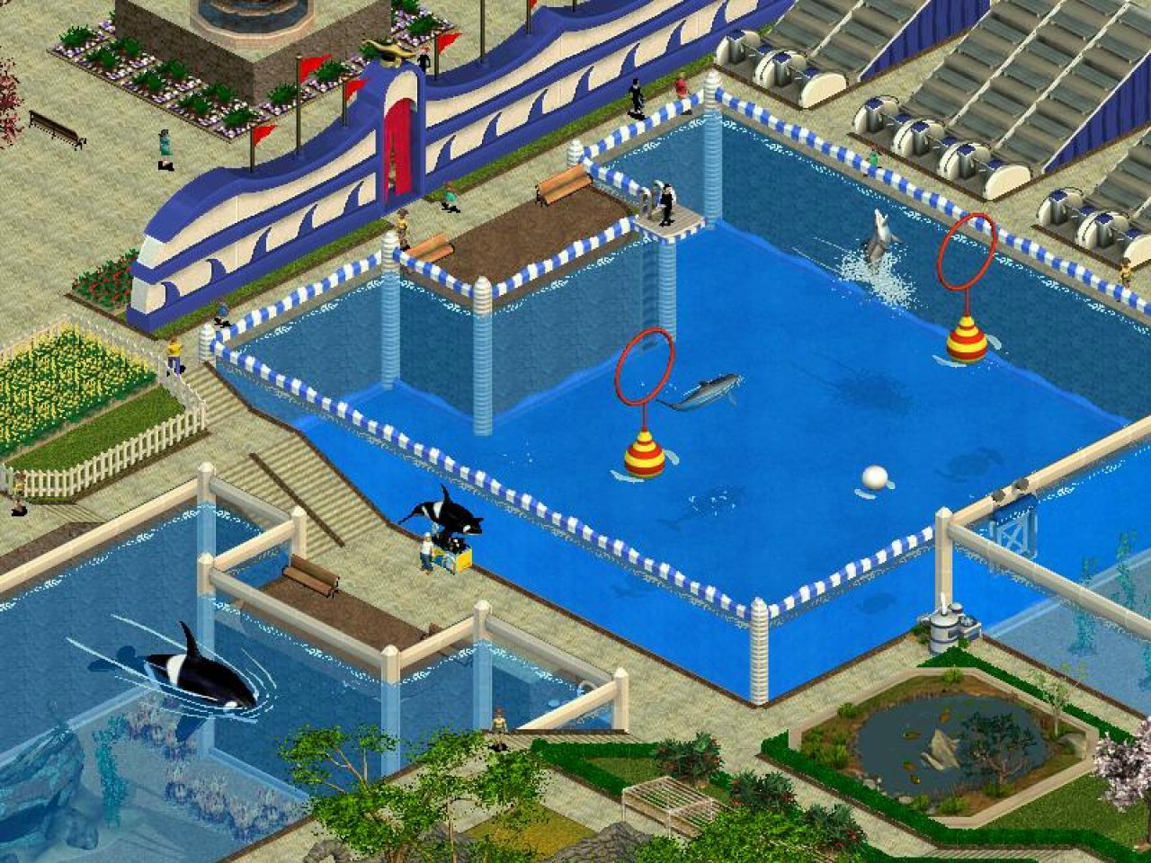 [01/08/2002] Eine neue Attraktion: Die Delphin-Show.