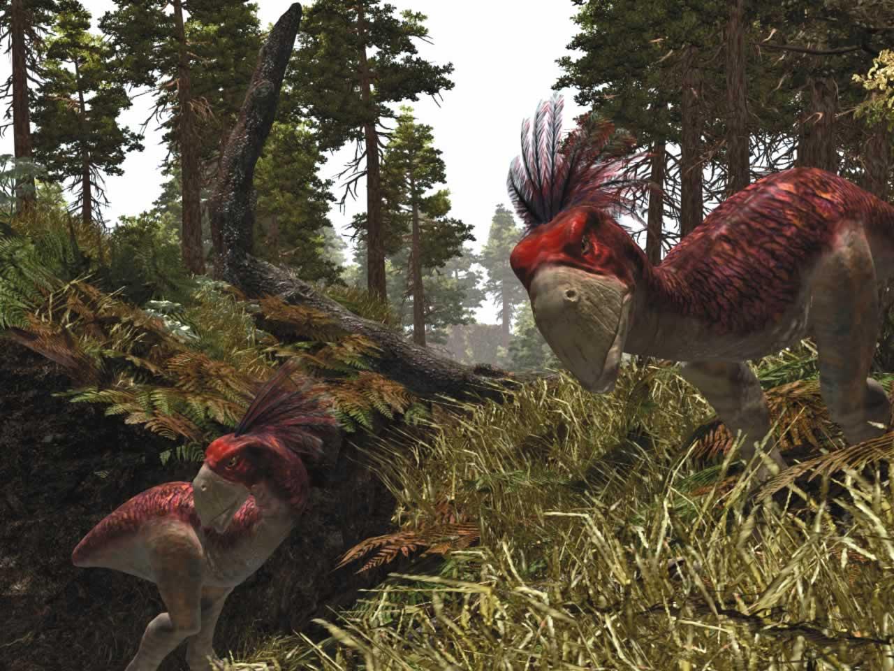 [27/05/2005] Es hätte so schön werden können... Einer der ersten Screenshots zu Gothic 3.