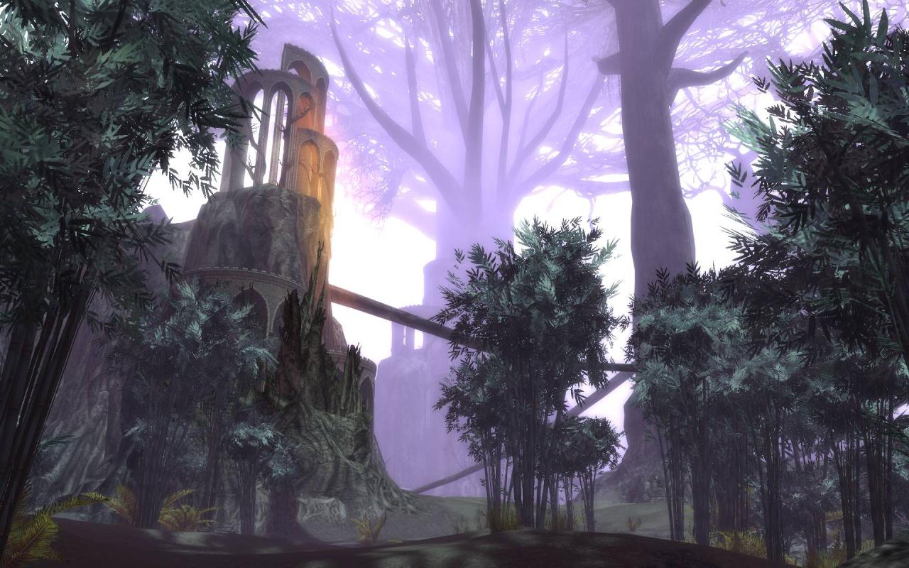 [21/02/2006] 
