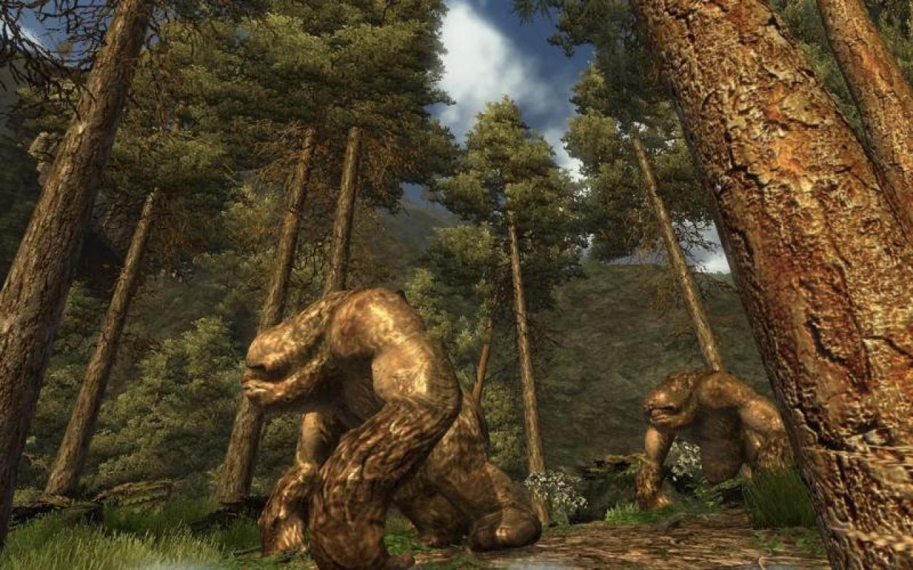 [17/05/2006] 