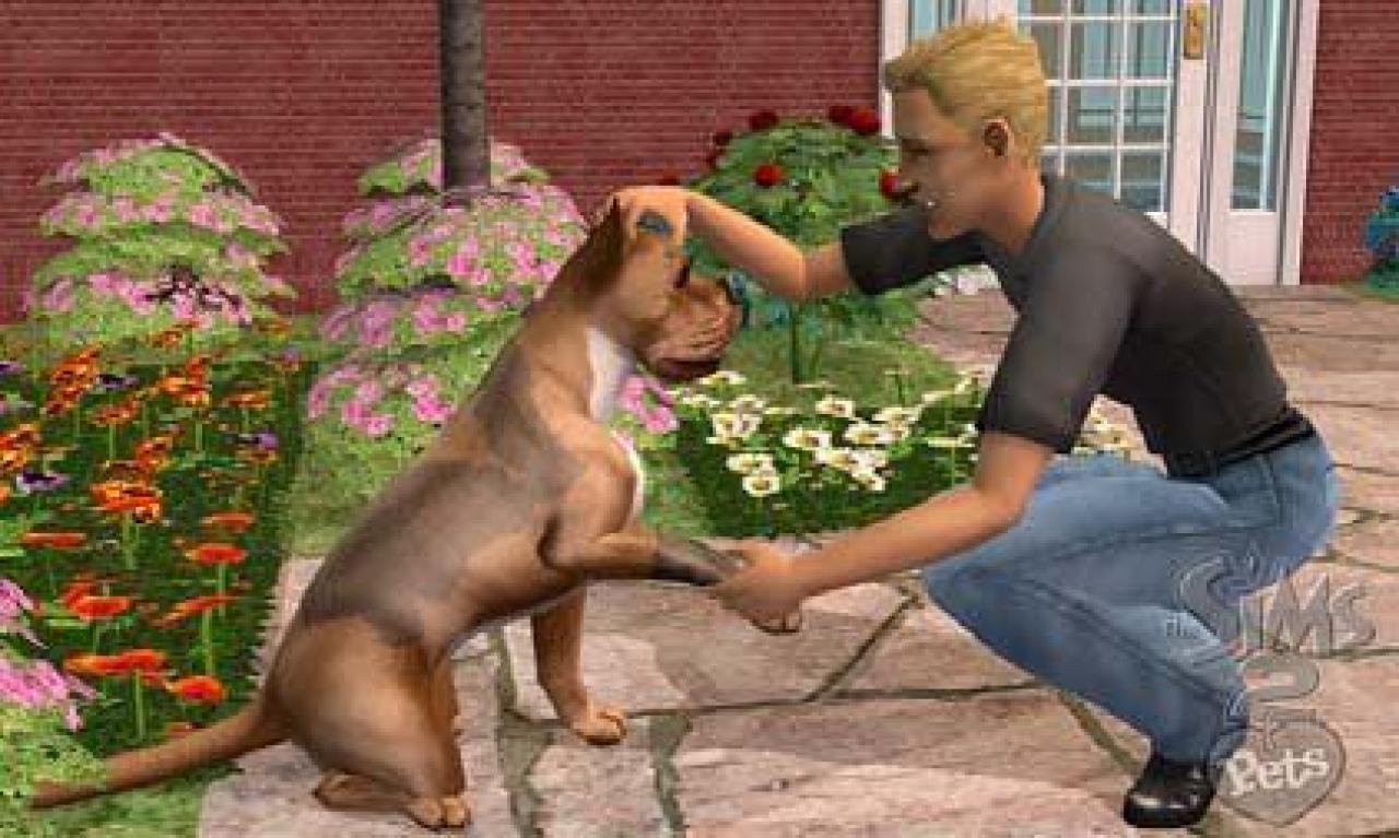 [28/07/2006] Selbst das Haustiere-Add-on für Die Sims 2 setzte mehr als 250.000 Einheiten ab. Ein beachtliches Ergebnis für eine Erweiterung. Das Besondere: Mit dem Pack ziehen Tiere wie Katzen und Hunde in Die Sims 2 ein.