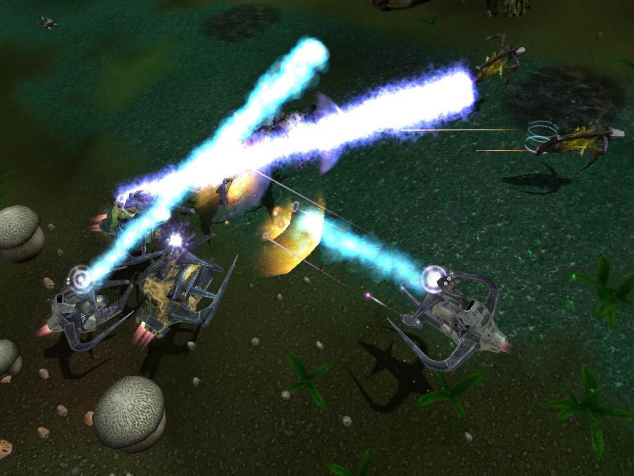 [14/01/2007] 