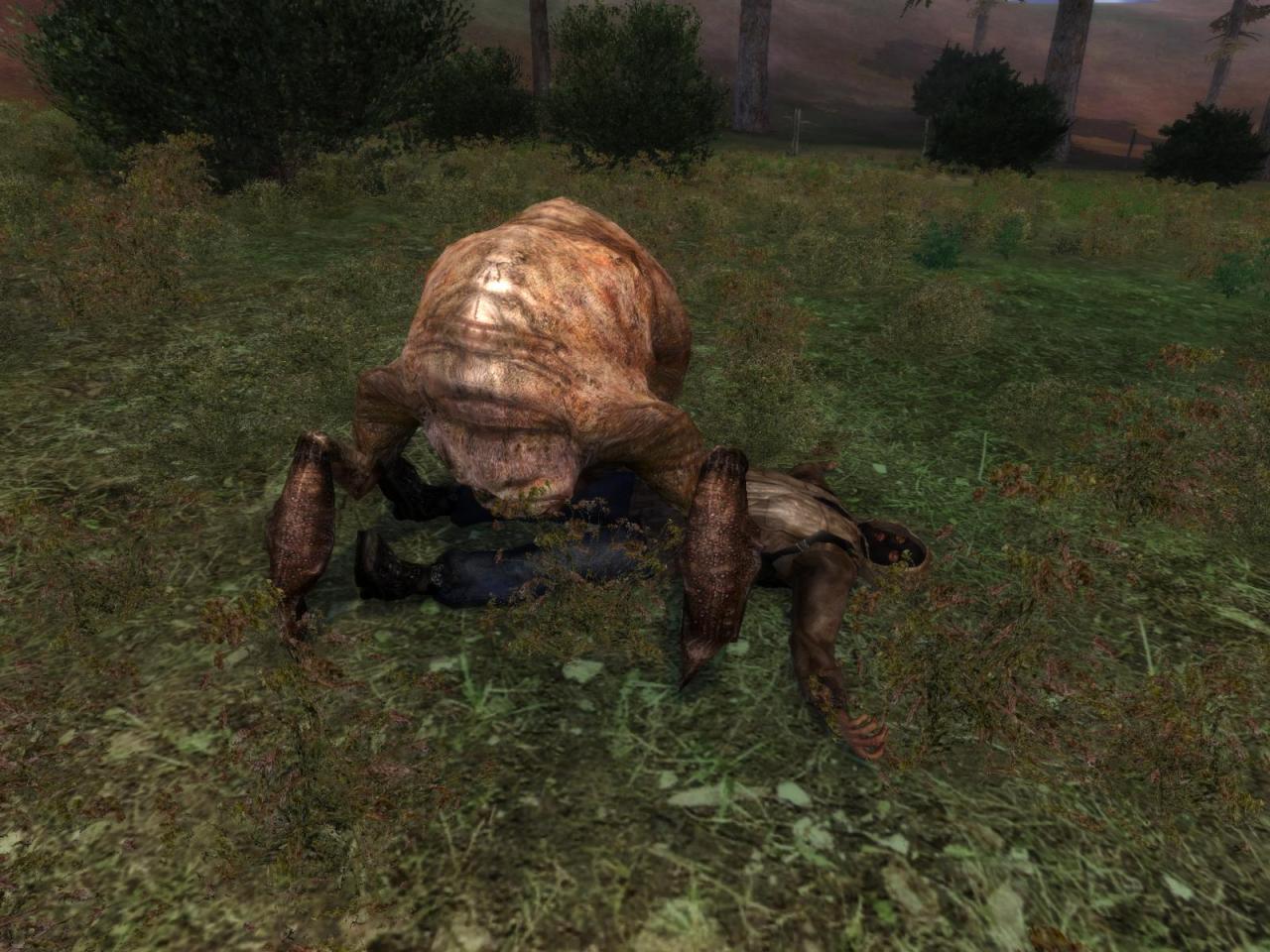 [15/02/2007] S.T.A.L.K.E.R.: Call of Pripyat: Verseuchte Screenshots zum Add-on erschienen. (67)