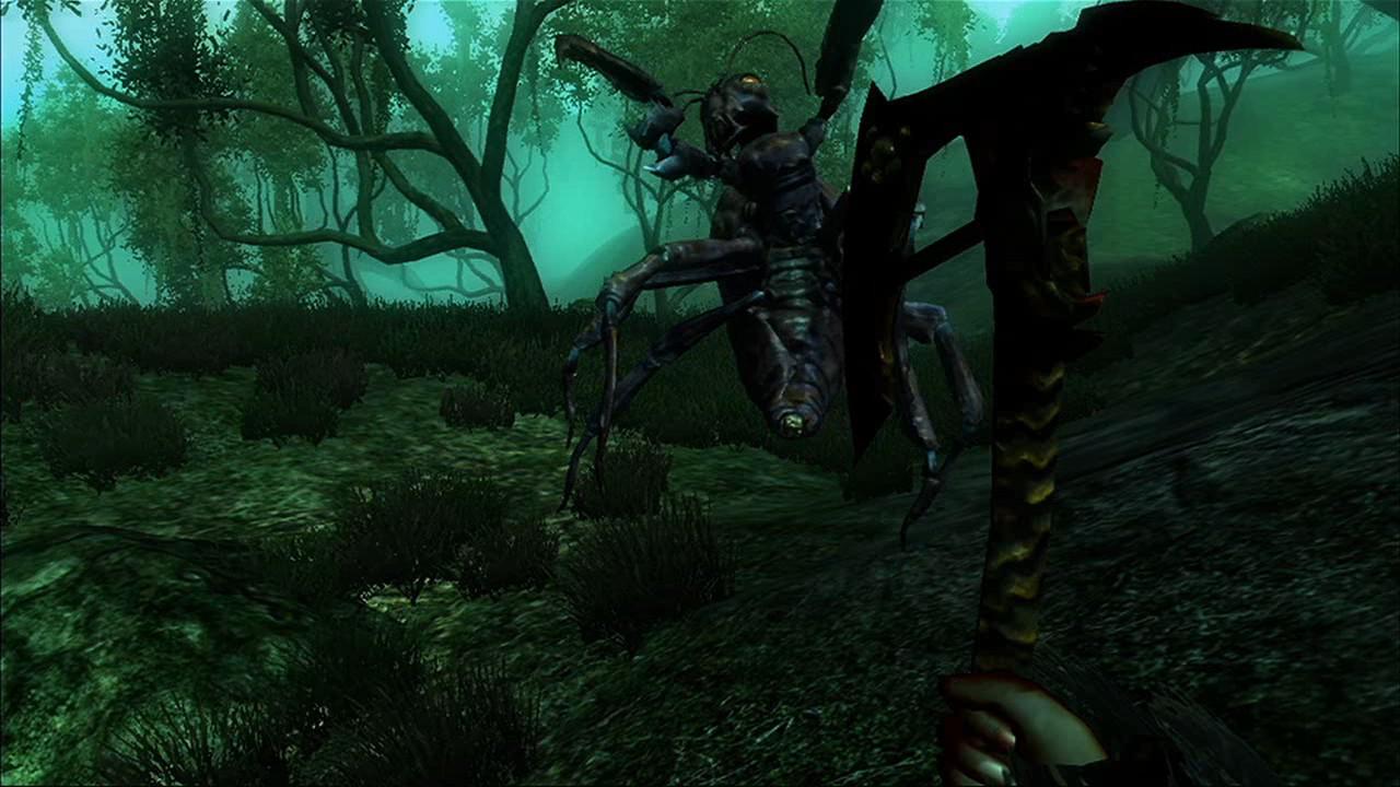 [08/03/2007] 