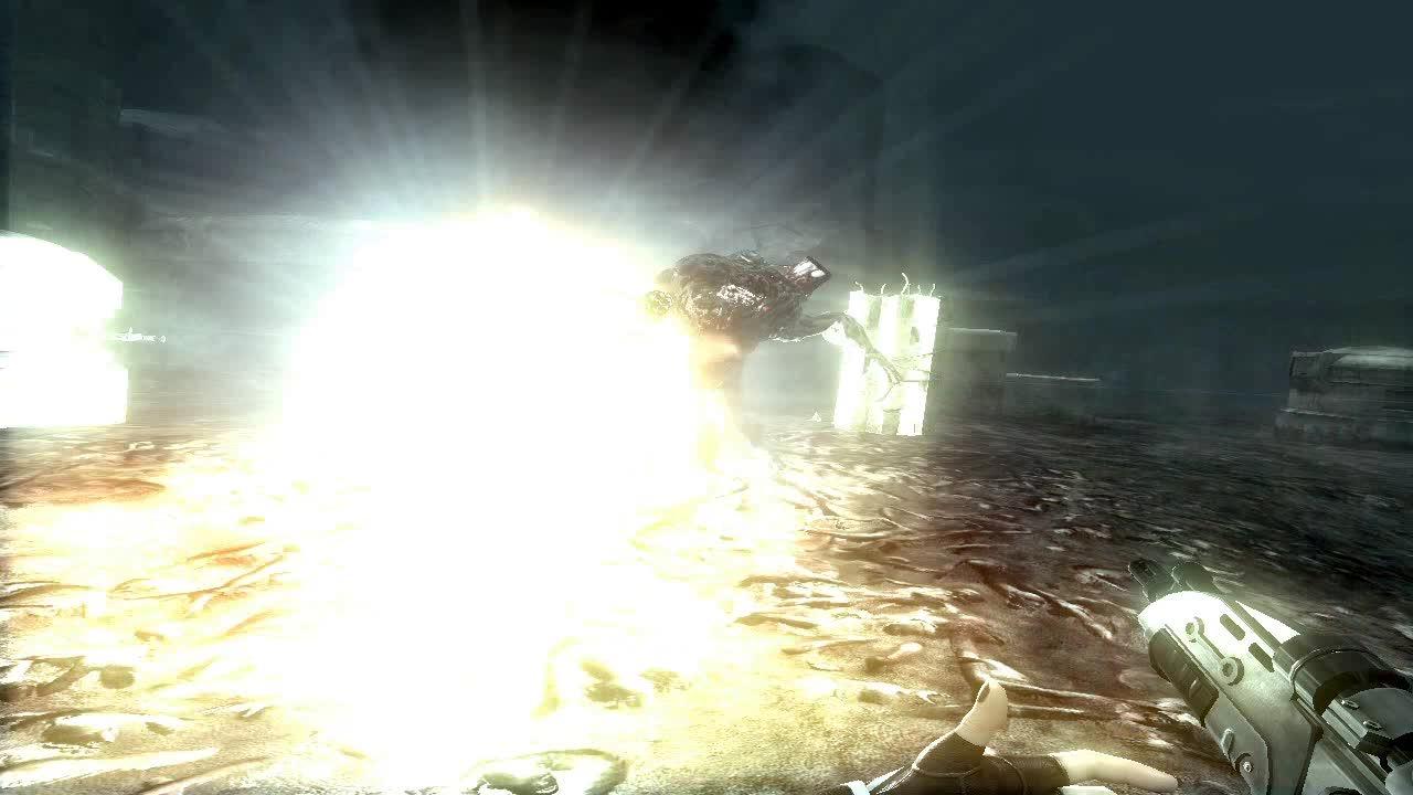 [17/08/2007] 