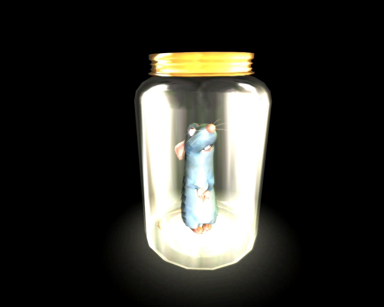 [24/10/2007] 