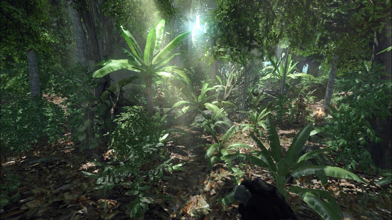 [15/01/2008] Platz 1: Crysis (Crytek) - Haben Sie die passende Hardware parat, zaubert der Ego-Shooter wohl eine der schönsten Dschungellandschaften auf ihren heimischen Monitor. 