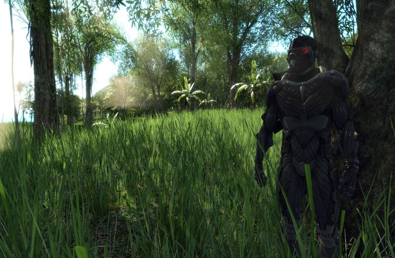 [11/02/2008] Crysis: In einer großen Dschungel-Spielwelt können wir mit Nanosuit-Superkräften schleichen, ballern und uns prügeln, um Missionen zu erfüllen. Gepaart mit der atemberaubenden Optik gibt es nur eines: gleich nochmal spielen!