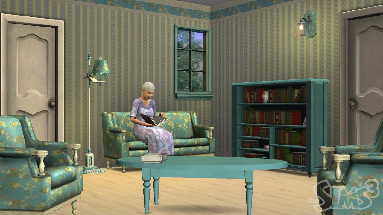 [19/03/2008] Sims 3 (6)