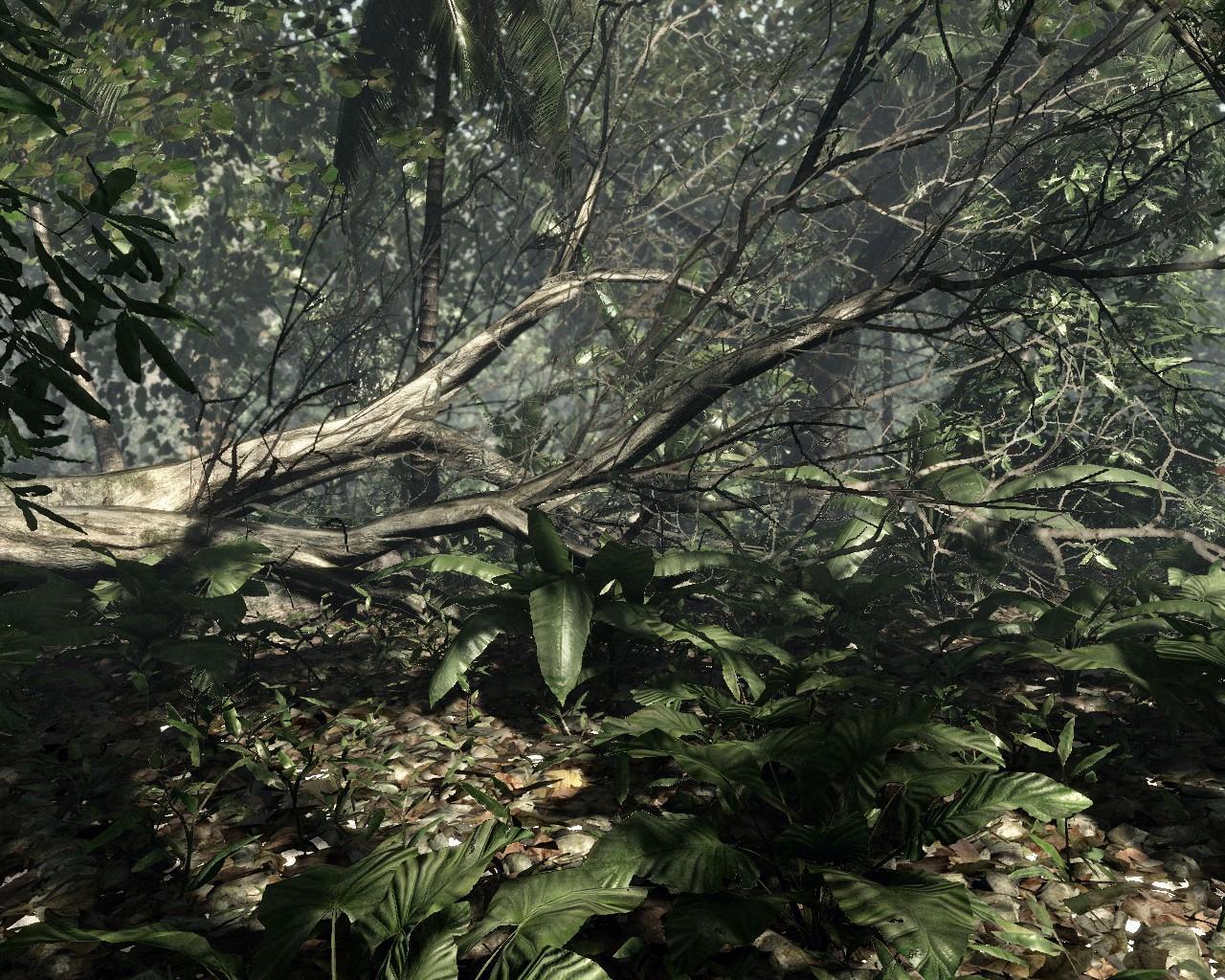 [22/04/2008] Crysis (Crytek) - Mapdownload: GDC 06-Jungle - Bilderquelle: nvnews