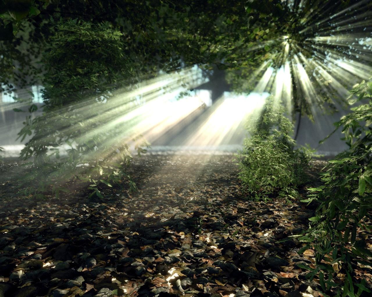 [22/04/2008] Crysis (Crytek) - Mapdownload: GDC 06-Jungle - Bilderquelle: nvnews