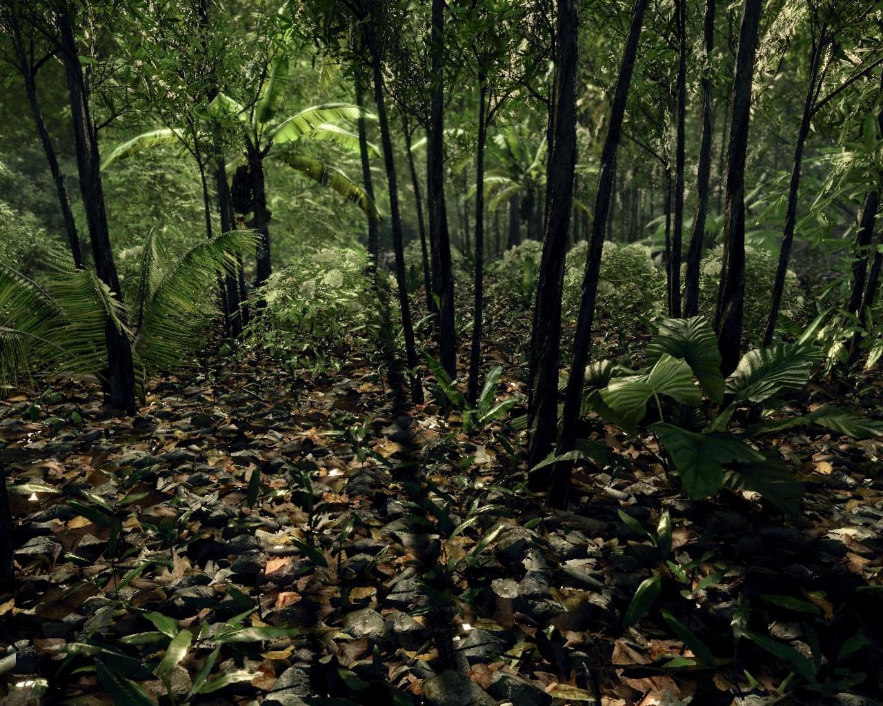 [22/04/2008] Crysis (Crytek) - Mapdownload: GDC 06-Jungle - Bilderquelle: nvnews